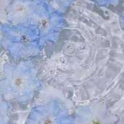 ヒメ日記 2024/12/27 17:18 投稿 新人・光(ひかり) グランドオペラ福岡