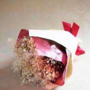 ヒメ日記 2025/03/02 12:30 投稿 新人・光(ひかり) グランドオペラ福岡