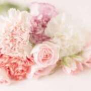 ヒメ日記 2025/03/17 22:03 投稿 新人・光(ひかり) グランドオペラ福岡