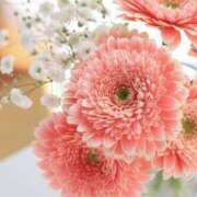 ヒメ日記 2025/03/28 12:33 投稿 新人・光(ひかり) グランドオペラ福岡