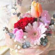 ヒメ日記 2025/04/23 11:51 投稿 新人・光(ひかり) グランドオペラ福岡