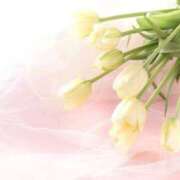 ヒメ日記 2025/05/01 13:25 投稿 新人・光(ひかり) グランドオペラ福岡