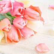 ヒメ日記 2025/05/02 09:51 投稿 新人・光(ひかり) グランドオペラ福岡