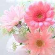 ヒメ日記 2025/06/03 10:51 投稿 新人・光(ひかり) グランドオペラ福岡