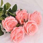 ヒメ日記 2025/06/04 11:21 投稿 新人・光(ひかり) グランドオペラ福岡