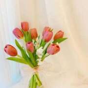 ヒメ日記 2025/06/04 14:01 投稿 新人・光(ひかり) グランドオペラ福岡