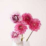 ヒメ日記 2025/06/07 23:24 投稿 新人・光(ひかり) グランドオペラ福岡