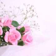 ヒメ日記 2025/06/10 17:51 投稿 新人・光(ひかり) グランドオペラ福岡