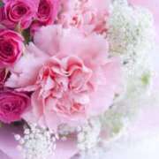 ヒメ日記 2025/06/11 16:23 投稿 新人・光(ひかり) グランドオペラ福岡