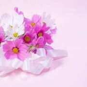 ヒメ日記 2025/06/19 09:25 投稿 新人・光(ひかり) グランドオペラ福岡