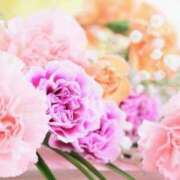 ヒメ日記 2025/06/19 11:03 投稿 新人・光(ひかり) グランドオペラ福岡