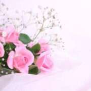 ヒメ日記 2025/07/07 15:02 投稿 新人・光(ひかり) グランドオペラ福岡