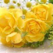 ヒメ日記 2025/07/09 08:21 投稿 新人・光(ひかり) グランドオペラ福岡