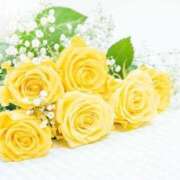 ヒメ日記 2025/07/09 09:51 投稿 新人・光(ひかり) グランドオペラ福岡