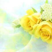 ヒメ日記 2025/07/09 12:24 投稿 新人・光(ひかり) グランドオペラ福岡