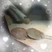 ヒメ日記 2026/02/28 23:05 投稿 ひづき 奥鉄オクテツ東京店（デリヘル市場）