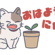 ヒメ日記 2025/10/11 08:26 投稿 西城 熟女待機所 厚木店