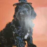 ヒメ日記 2025/10/19 08:06 投稿 西城 熟女待機所 厚木店