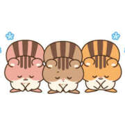 ヒメ日記 2025/10/19 12:46 投稿 西城 熟女待機所 厚木店