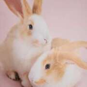 ヒメ日記 2025/12/10 13:25 投稿 西城 熟女待機所 厚木店