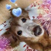 ヒメ日記 2025/12/21 14:05 投稿 西城 熟女待機所 厚木店