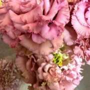 ヒメ日記 2026/03/13 18:57 投稿 Kana ワンカラット～人妻の輝き～