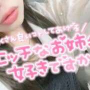 ヒメ日記 2026/02/14 16:32 投稿 すずか 熟女の風俗最終章 新宿店