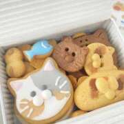 ヒメ日記 2026/02/20 13:44 投稿 すずか 熟女の風俗最終章 新宿店