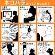 ヒメ日記 2026/02/22 12:22 投稿 すずか 熟女の風俗最終章 池袋店