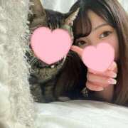 ヒメ日記 2025/08/12 20:22 投稿 ひなの 君とふわふわプリンセスin立川