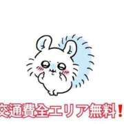 ヒメ日記 2025/08/13 03:22 投稿 ひなの 君とふわふわプリンセスin立川