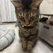 ヒメ日記 2025/09/07 21:52 投稿 ひなの 君とふわふわプリンセスin立川