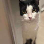 ヒメ日記 2025/09/08 05:32 投稿 ひなの 君とふわふわプリンセスin立川