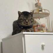 ヒメ日記 2025/09/08 05:35 投稿 ひなの 君とふわふわプリンセスin立川