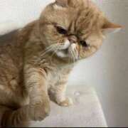 ヒメ日記 2025/09/08 20:22 投稿 ひなの 君とふわふわプリンセスin立川