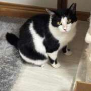 ヒメ日記 2025/09/09 00:52 投稿 ひなの 君とふわふわプリンセスin立川