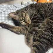 ヒメ日記 2025/09/09 00:56 投稿 ひなの 君とふわふわプリンセスin立川