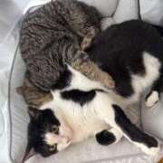 ヒメ日記 2025/09/09 22:32 投稿 ひなの 君とふわふわプリンセスin立川