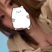 ヒメ日記 2025/03/10 12:03 投稿 おとは ホワイトベル