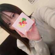 ヒメ日記 2025/04/10 16:12 投稿 おとは ホワイトベル