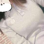 ヒメ日記 2025/04/12 17:22 投稿 おとは ホワイトベル