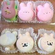 ヒメ日記 2025/04/19 14:04 投稿 おとは ホワイトベル