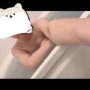 ヒメ日記 2025/05/14 17:03 投稿 おとは ホワイトベル