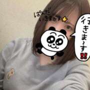 ヒメ日記 2025/06/02 13:03 投稿 おとは ホワイトベル