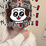 ヒメ日記 2025/06/06 15:42 投稿 おとは ホワイトベル