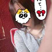 ヒメ日記 2025/06/15 16:22 投稿 おとは ホワイトベル