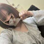 ヒメ日記 2025/06/15 16:42 投稿 おとは ホワイトベル