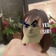 ヒメ日記 2025/06/21 12:22 投稿 おとは ホワイトベル