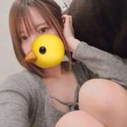 ヒメ日記 2025/10/14 15:08 投稿 おとは ホワイトベル