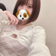 ヒメ日記 2025/11/10 15:52 投稿 おとは ホワイトベル